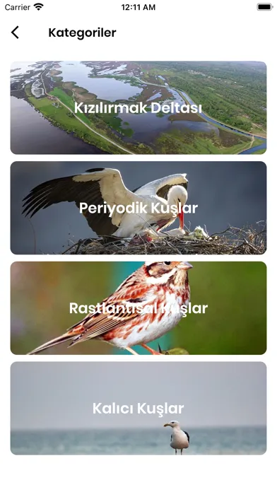 Capturas de pantalla de Kızılırmak Kuşları