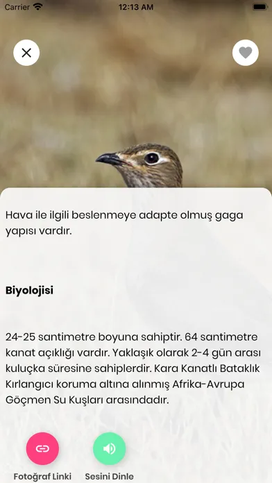 Capturas de pantalla de Kızılırmak Kuşları