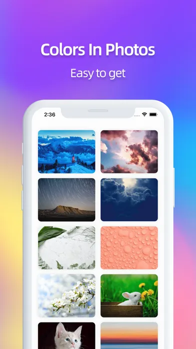 Capturas de tela do Color Palette - Color schemes