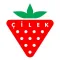 CILEK fine art furniture