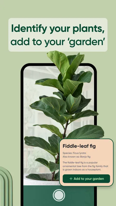 Sprout AI: Plant Identifier应用截图