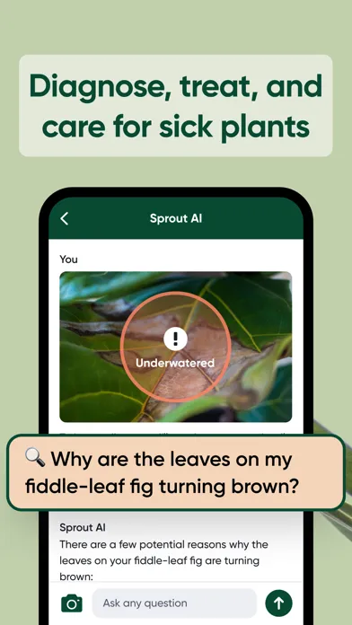 Sprout AI: Plant Identifier应用截图