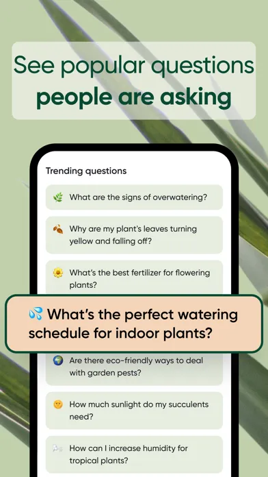 Sprout AI: Plant Identifier应用截图