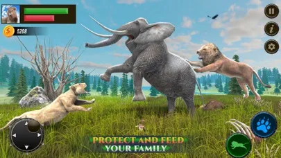 Safari Lion Simulator Game 3D Screenshots