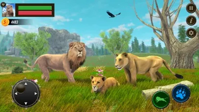Safari Lion Simulator Game 3D Screenshots