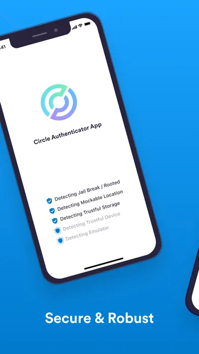 Screenshot di Circle: Store & Pay with USDC