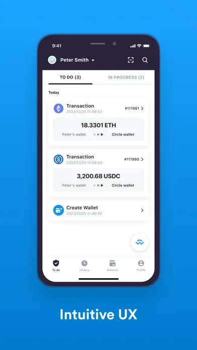 Screenshot di Circle: Store & Pay with USDC