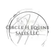 Circle H Equine Sales Circle H Equine Sales