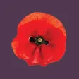 14-18 : War, Armes, Peace. 14-18 : War, Armes, Peace.