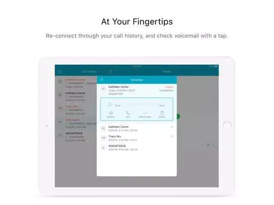Webex Calling iPad  Screenshots