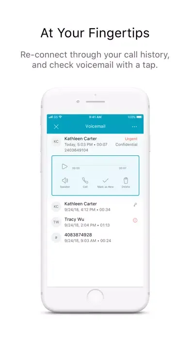 Webex Calling Screenshots