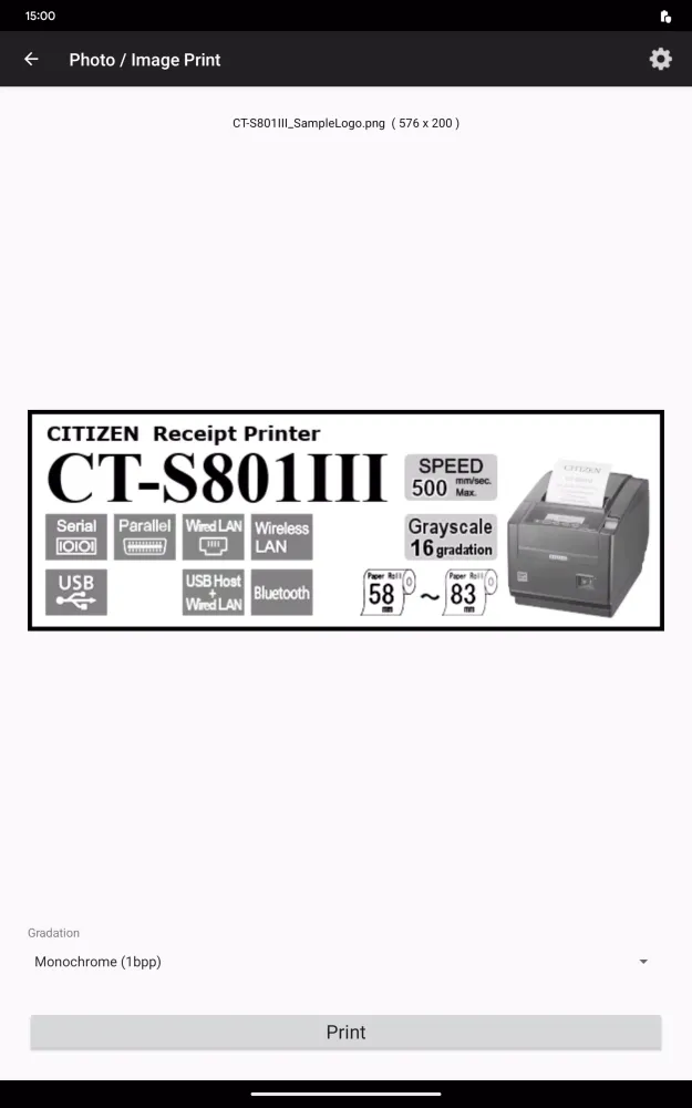 Citizen PDemo for POS Printer Screenshots