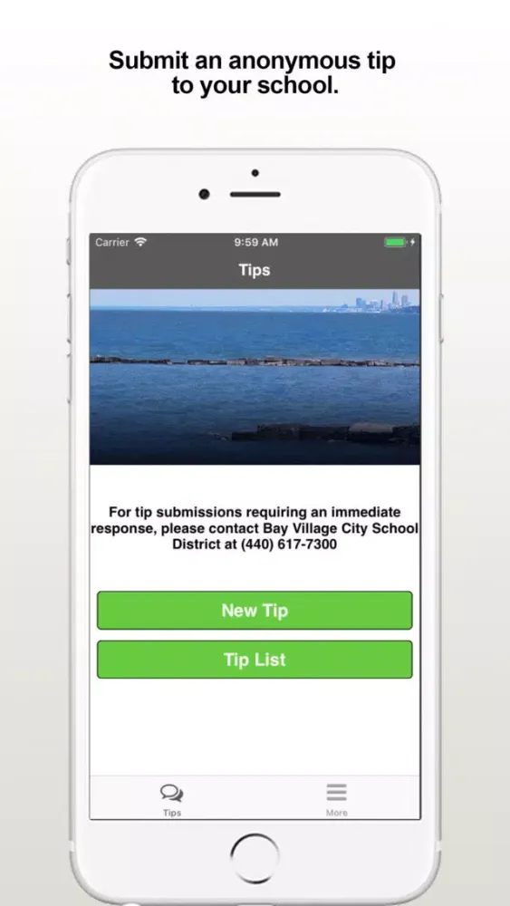 Bay Tips Screenshots