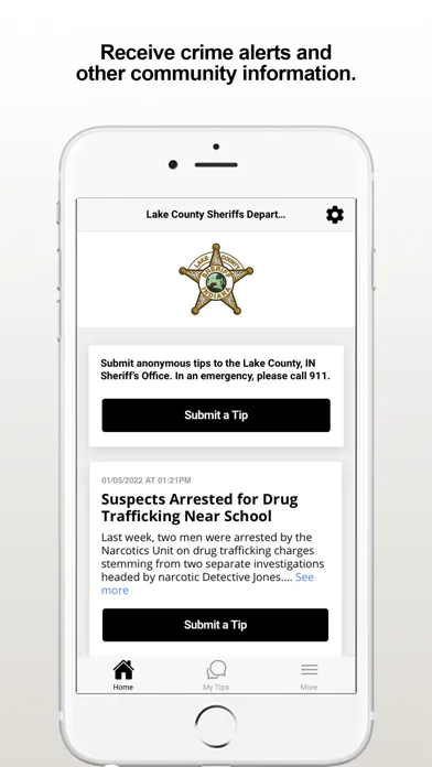 Скриншоты LCSO Tip