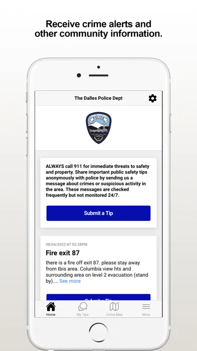 Capturas de pantalla de The Dalles PD