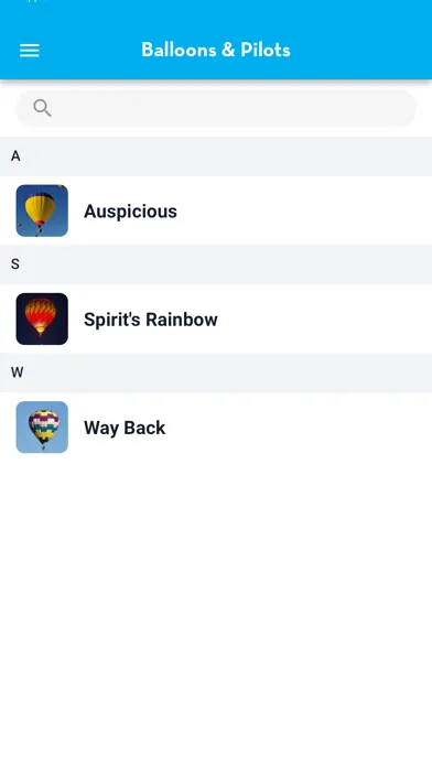 Screenshot di Fireflight Balloon Fest