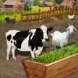 Animal food grower : Grow and Feed farm animals Animal food grower : Grow and Feed farm animals