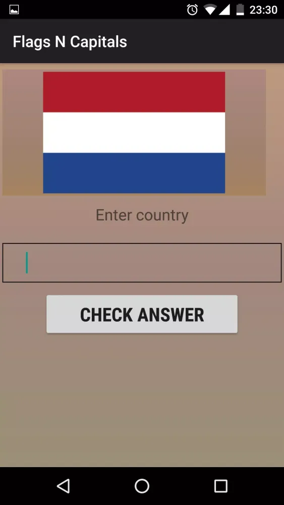 Flags N Capitals Screenshots