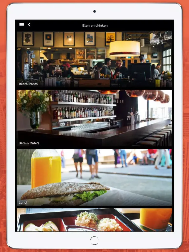 ภาพหน้าจอของ Delft App iPad 