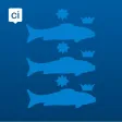 Enkhuizen App