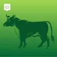 Oss App