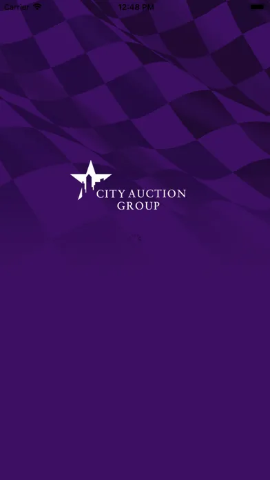 Capturas de tela do City Auction Group
