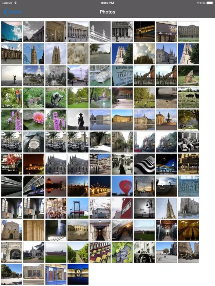 Bordeaux Travel Guide Offline iPad 应用截图