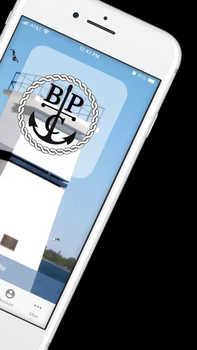 Capturas de tela do BPC 311