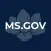 MS.GOV Connect