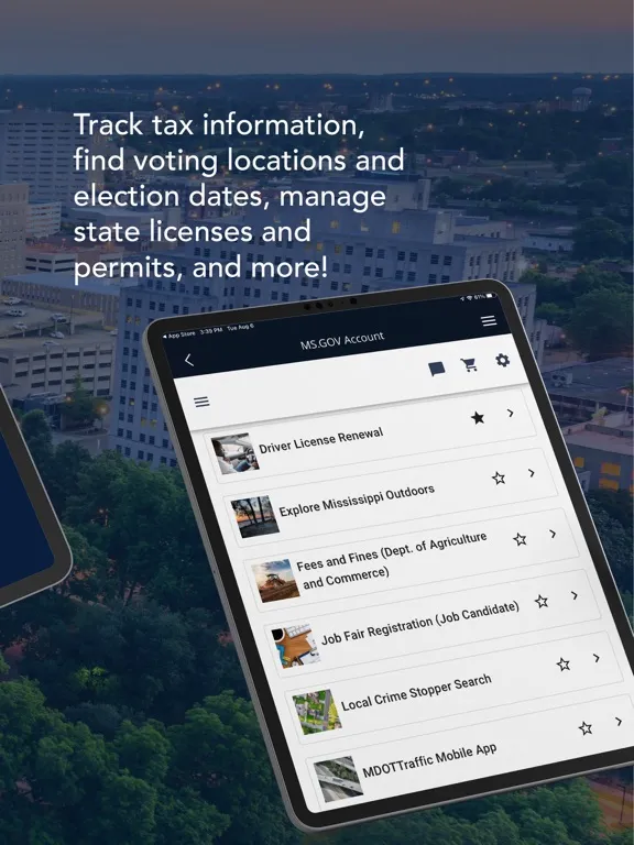 MS.GOV Connect iPad  Screenshots