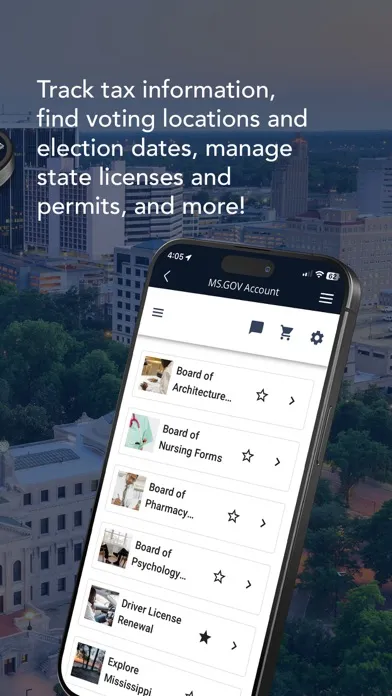MS.GOV Connect Screenshots