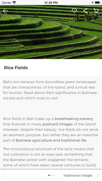 Bali Guide by Civitatis.com Screenshots