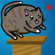 Scratchy Kitty Scratchy Kitty