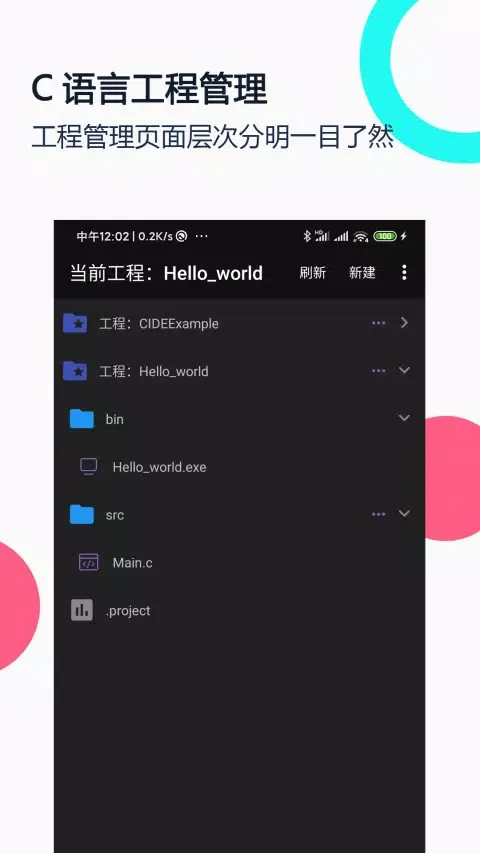 Скриншоты C语言编译器IDE