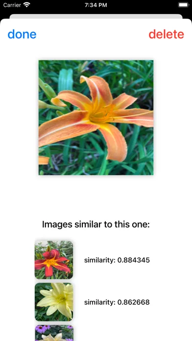 Screenshot di Image Garden