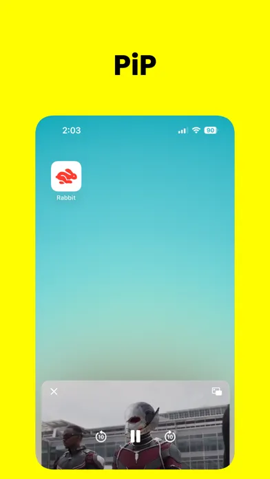 تصاویر Rabbit - PiP Video Browser