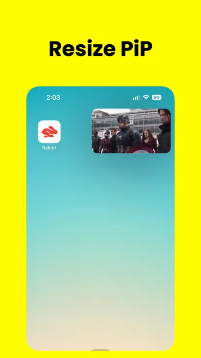 تصاویر Rabbit - PiP Video Browser