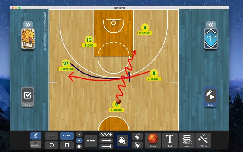 صور TacticalPad Basketball