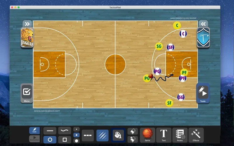 صور TacticalPad Basketball