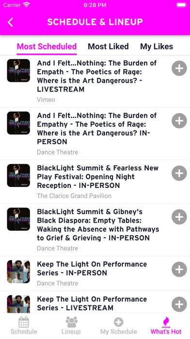 Screenshot di BlackLight Summit