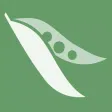 Edamame - Let's Meet