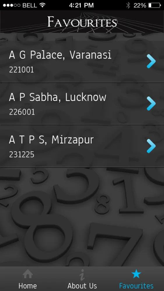 Pin Code Finder應用截圖