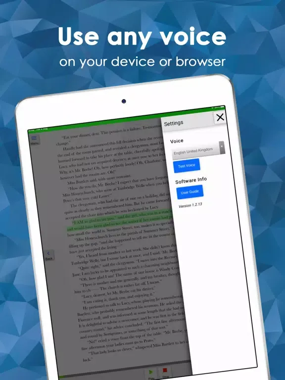 Скриншоты Claro ePub Reader iPad 