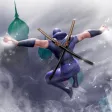 Ninja Samurai Assassin creed