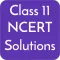 Class 11 NCERT Solutions