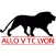 Allo VTC Lyon