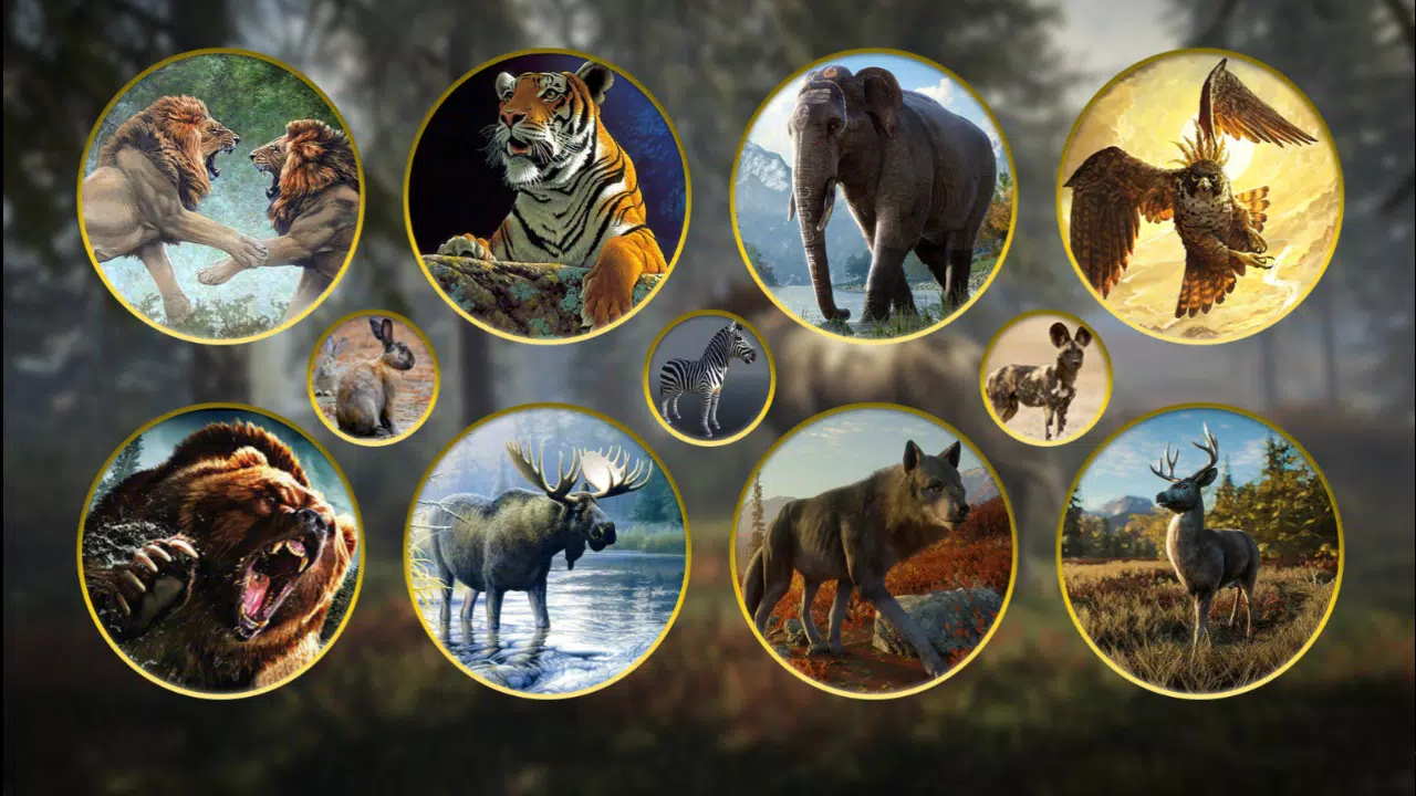 Animal Hunting -Shooting Games Screenshots