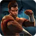 Fighter King - Dragon Power