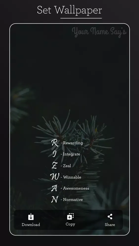 Your Name Say's應用截圖