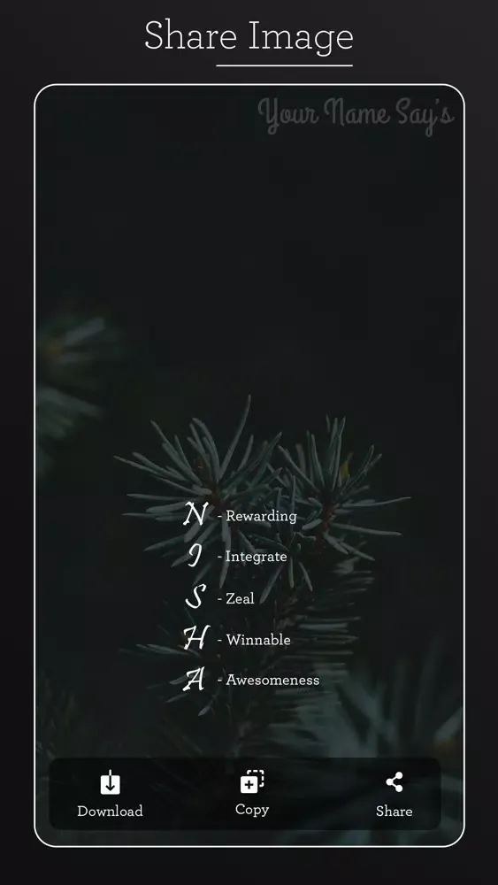 Your Name Say's應用截圖